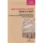 Une-constellation-dans-la-nuit